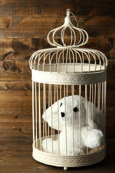 Coelho de brinquedo em gaiola decorativa no fundo de madeira
 - Foto, Imagem