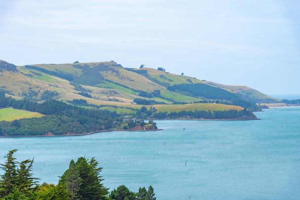 Landscape of Otago peninsula near Dunedin, New Zealand - Zdjęcie, obraz