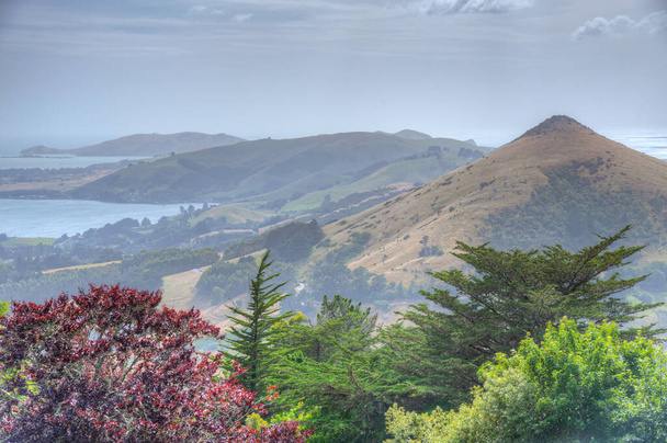 Landscape of Otago peninsula near Dunedin, New Zealand - Fotoğraf, Görsel