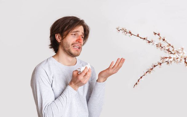 Allergies saisonnières et santé. L'homme souffrant avec le nez rouge et la serviette à la main regarde les plantes à fleurs
 - Photo, image
