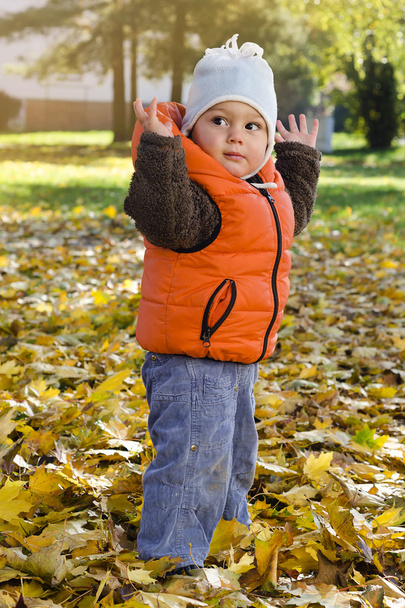 Enfant dans le parc d'automne
 - Photo, image