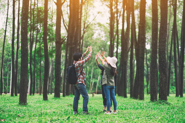 lähikuva matkailijoista laittamassa käsiään yhteen metsässä - Valokuva, kuva