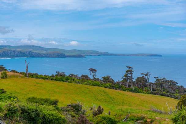 Tahakopa bay at Caitlins region of New Zealand - Φωτογραφία, εικόνα