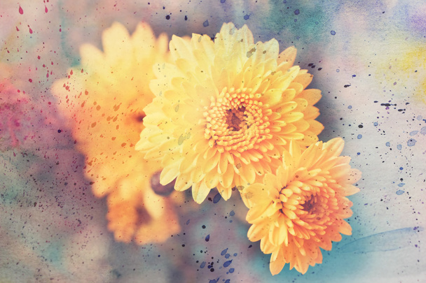 Artwork with yellow asters and watercolor smudges - Foto, immagini