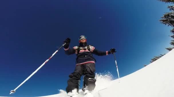 Downhill alpine skiing at high speed on powder snow. - Footage, Video