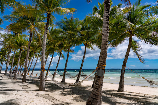 Valkoinen hiekka trooppinen ranta Bohol, Filippiinit  - Valokuva, kuva