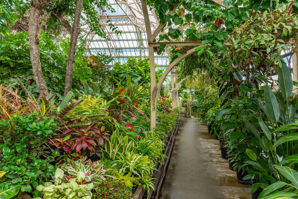Conservatory of Christchurch Botanic garden in New Zealand - Fotoğraf, Görsel