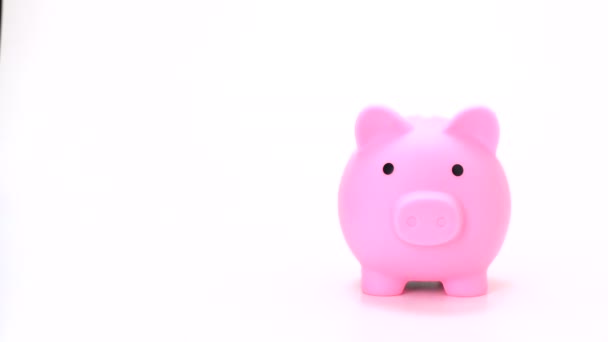 front view of hand putting coin into pig doll bank on white background for title or end credit - vdo 4k, 1080, fhd, full hd.  saving money on pink piggy bank isolate with free space for text, copy or graphic. - Footage, Video