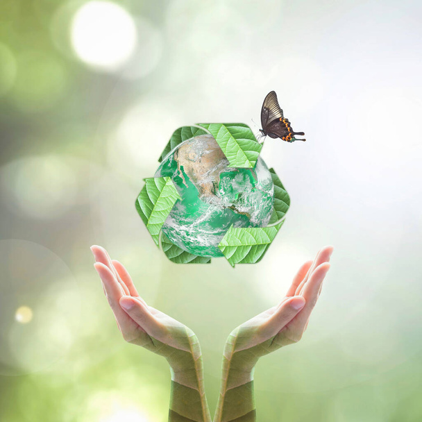 Зеленая планета с табличкой-утилизатором на руках с листьями деревьев на Всемирный день окружающей среды и экологически чистая концепция: Элементы этого изображения предоставлены NAS - Фото, изображение