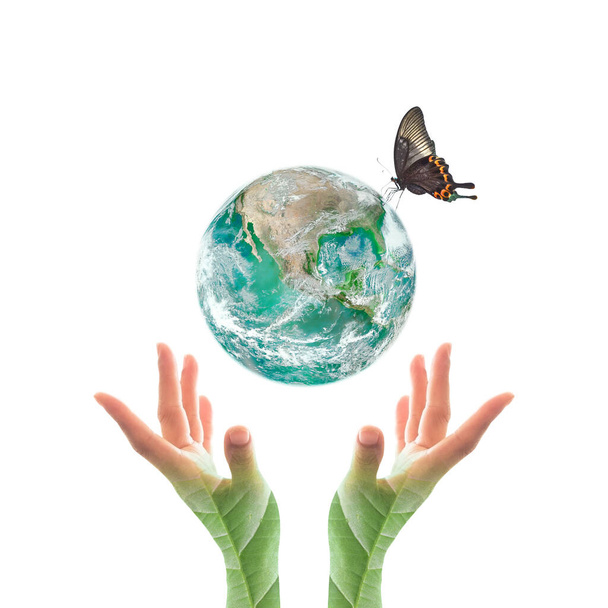 Weltumwelttag und umweltfreundliches Konzept mit grünem Planeten an den Händen mit Baumblättern: Elemente dieses Bildes stammen von der NASA - Foto, Bild