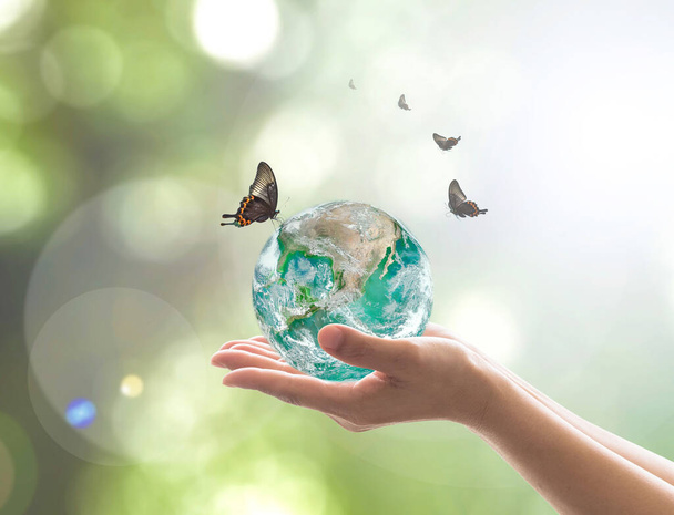Wereldmilieudag en milieuvriendelijk concept met groene aarde op handen van vrijwilligers. Element van beeld geleverd door NASA - Foto, afbeelding