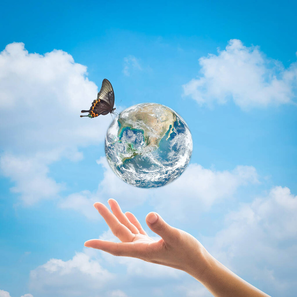 Dia mundial do meio ambiente, ecologia e conceito de proteção da camada de ozônio com a mão da mulher apoiando planeta terra sob brilho de luz solar com bela borboleta: Elementos desta imagem fornecidos pela NASA - Foto, Imagem