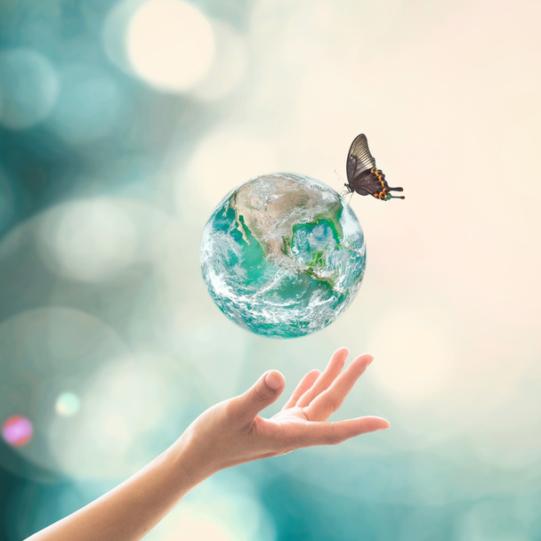 美しい蝶と太陽の光のフレアの下で地球の惑星を支える女性の手で世界環境の日、生態学とオゾン層保護の概念: NASAによって提供されたこの画像の要素 - 写真・画像