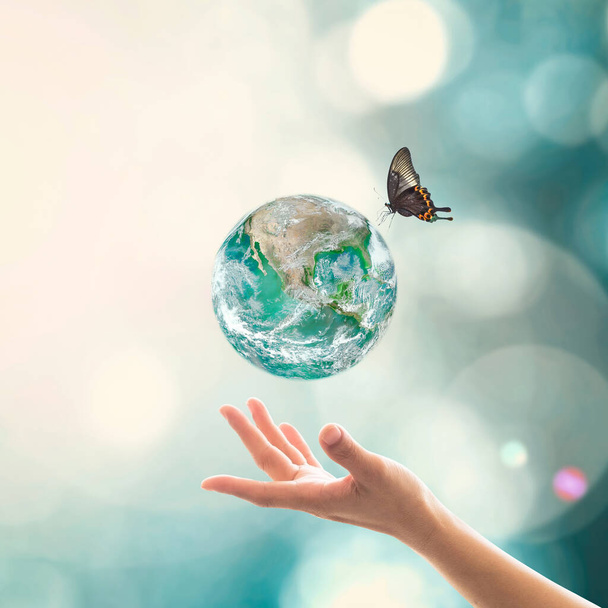 Зеленая планета с бабочкой на международный день для сохранения озонового слоя и перейти к зеленой концепции: Элементы этого изображения предоставлены NAS - Фото, изображение