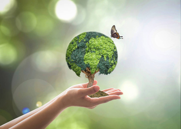 Зеленое дерево земного шара на руку волонтёра за устойчивую окружающую среду и сохранение природы в концепции КСО  - Фото, изображение