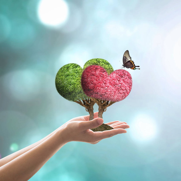 Дерево серця пара зелено-червоних дерев закоханих у метелика на руці жінки
  - Фото, зображення