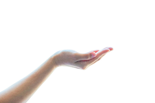 Geïsoleerde lege open menselijke handen met de hand omhoog geheven in het houden van houding op witte achtergrond - Foto, afbeelding