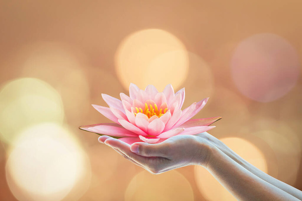 Vesak day, Buddhist lent day, Buddha's birthday worshiping concept with woman's hands holding water lilly or lotus flower  - Fotografie, Obrázek