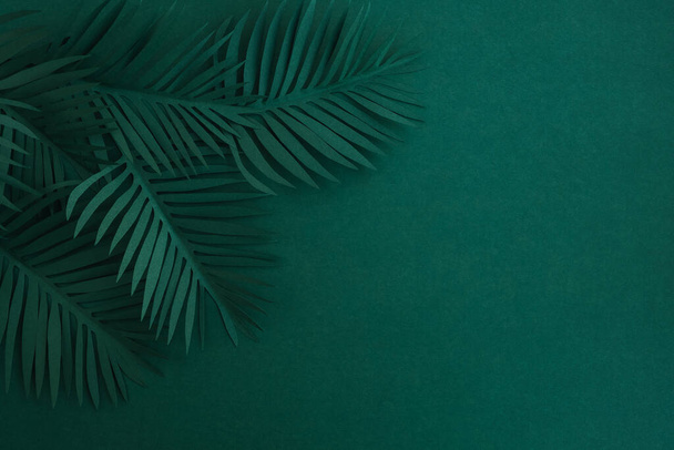 Tummanvihreät palmunlehdet. Trooppinen minimaalinen kesän koostumus. Lehtipaperi. Top view, tasainen lay, kopioi tilaa - Valokuva, kuva