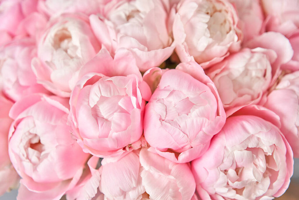 pinks peonies miss America in a metal vase. Beautiful peony flower for catalog or online store. Floral shop concept . Beautiful fresh cut bouquet. Flowers delivery - Photo, Image