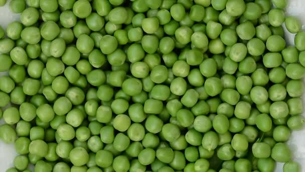 緑色のエンドウ豆粒がゆっくりと回転します。360度回転極端に近い. - 映像、動画