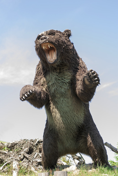 prehistorický medvěd - Fotografie, Obrázek