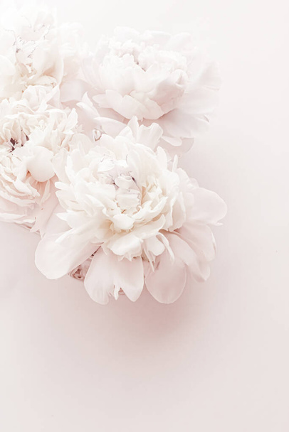 Pastel peony flowers in bloom as floral art background, wedding decor and luxury branding - Photo, image