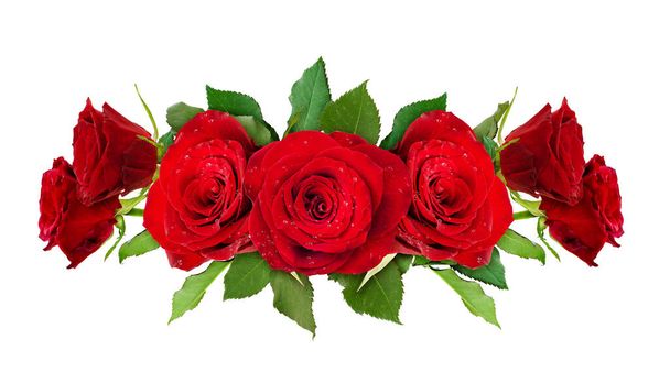 Red rose flowers line arrangemdent isolated on white. Top view. - Foto, imagen