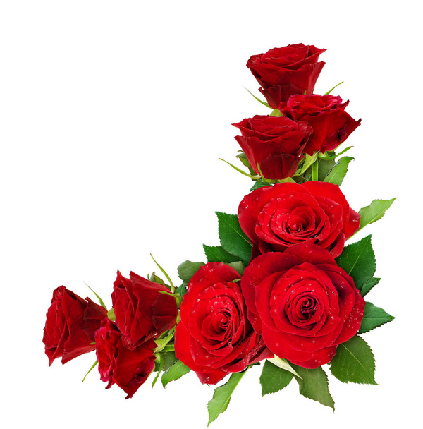 Red rose flowers corner arrangement isolated on white. Top view. - Foto, Imagen