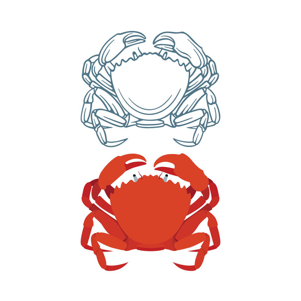 Crayfish. Crab sketch and realistic drawn vector illustrations set. Part of seafood set.  - Vector, Image