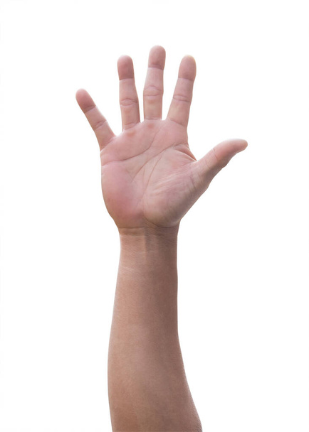 Main palme vers le haut de l'homme levant avec cinq doigts isolés sur fond blanc avec chemin de coupure pour le vote, salut 5, aide recherchée, bénévole, participation, accord - Photo, image