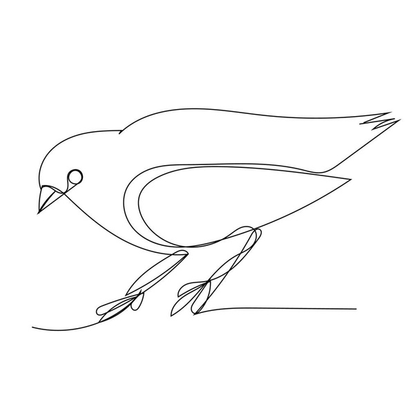 vector, on a white background, a single continuous line drawing of a bird - Vetor, Imagem