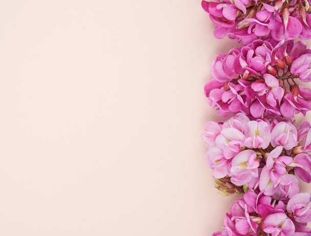 ανθοφόρο κλαδί Robinia neomexicana με ροζ λουλούδια σε μπεζ φόντο, πάνω όψη, αντιγραφή χώρου - Φωτογραφία, εικόνα