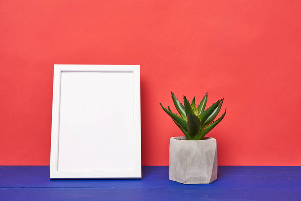 biała ramka i ceramiczny garnek z rosnącą rośliną na niebieskim drewnianym stole, minimalistyczny styl, czerwone tło  - Zdjęcie, obraz