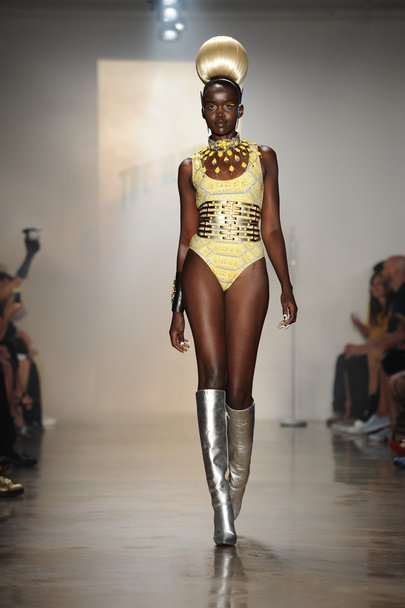 Model walks at The Blonds show - Photo, Image