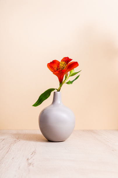 rode Alstroemeria in vaas op houten oppervlak geïsoleerd op beige - Foto, afbeelding