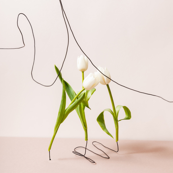 floral composition with white tulips isolated on beige - 写真・画像