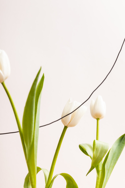 bloemsamenstelling met witte tulpen en draad geïsoleerd op beige - Foto, afbeelding