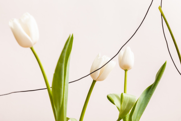 σύνθεση λουλουδιών με άσπρες τουλίπες και σύρματα που απομονώνονται σε μπεζ - Φωτογραφία, εικόνα