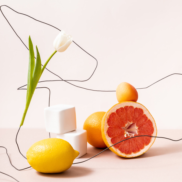 floral and fruit composition with tulip on wire and fruits on cubes isolated on beige - Photo, Image