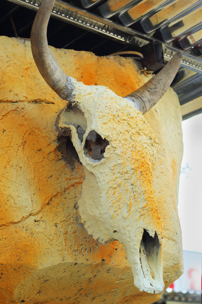 El búfalo seco - la pared de madera que cuelga
. - Foto, imagen