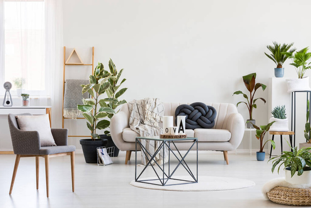 Stylish coffee table in the middle of spacious living room interior with white sofa, urban jungle and grey chair - Fotoğraf, Görsel