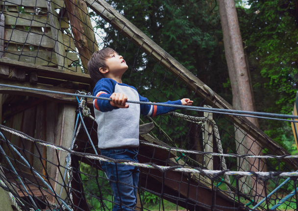 Портрет активної дитини, що сходить на рамку мотузки на дереві. Молодий хлопчик стоїть сам і дивиться на високе лісове дерево біля парку, Дитина грає на відкритому майданчику наодинці восени
, .  - Фото, зображення