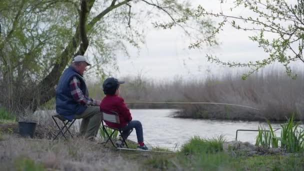 rybáři, postarší muž a jeho vnuk v kloboucích sedí u břehu a loví malé ryby rybářským prutem v řece na pozadí stromů a rákosí za teplého dne - Záběry, video