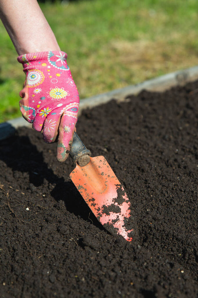 A gazda előkészíti a talajt a vetőmagok ültetésére. A gazda keze egy vakolóval ássa a földet. - Fotó, kép