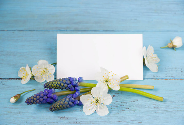 Bahar şablonu-bahar çiçekleri ve boş kart, mavi tahta tahta tahta. Anneler Günü, 8 Mart, Kadınlar Günü, Paskalya, düğün, doğum günü için yaratıcı bir düzen. - Fotoğraf, Görsel