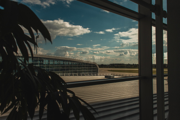 Selective focus of plant near glass of window in airport in Copenhagen, Denmark  - Фото, изображение