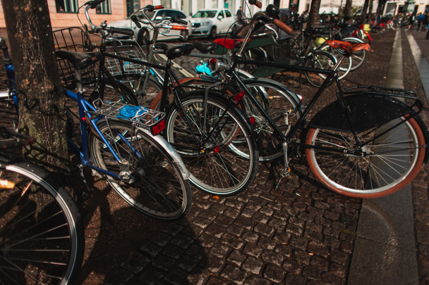 Row of bicycles near trees on urban street in Copenhagen, Denmark  - Photo, Image