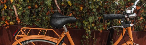 Panoramic crop of wet bicycle near plants on urban street  - Foto, Bild