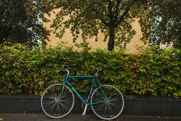 Kék kerékpár zöld bokrok és fák közelében a városi utcában  - Fotó, kép
